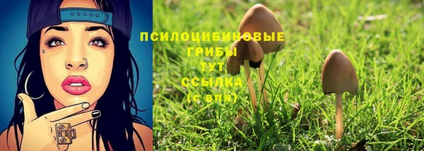 соль ск Алексин